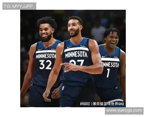 2019年3月18日火箭队对阵森林狼队精彩视频直播回顾与分析